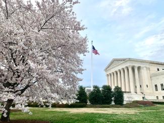 white concrete building near trees during daytime by Bill Mason courtesy of Unsplash.